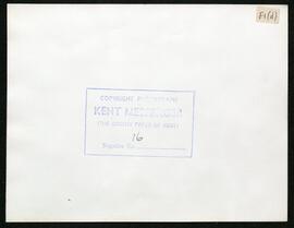 SC_F1_D_000002.jpg