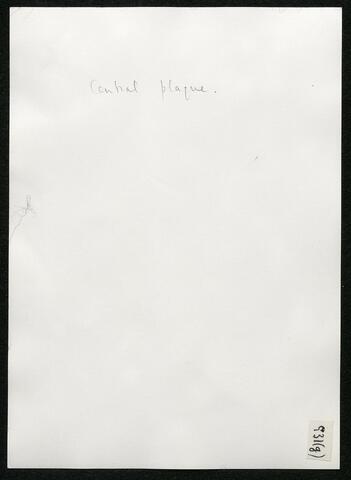 Original Digitaal object not accessible